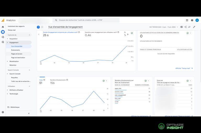 Audit SEO - Aperçu Google Analytics