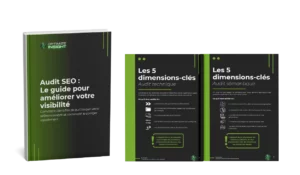 Télécharger Livre Blanc audit SEO